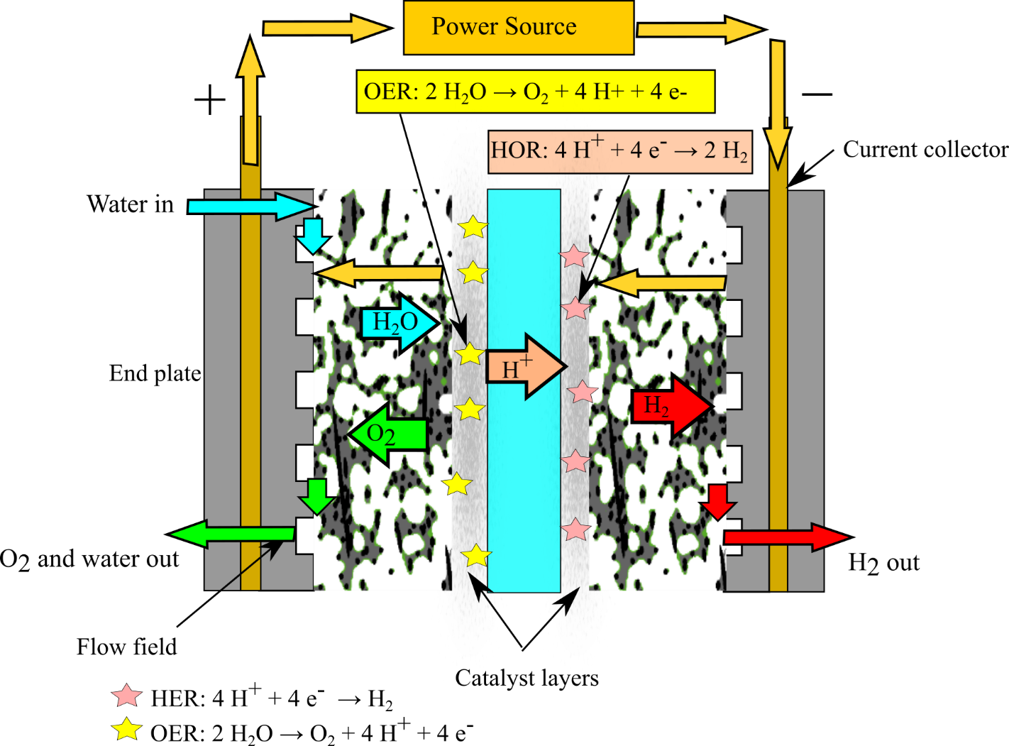 What Happens inside a PEM Fuel Cell